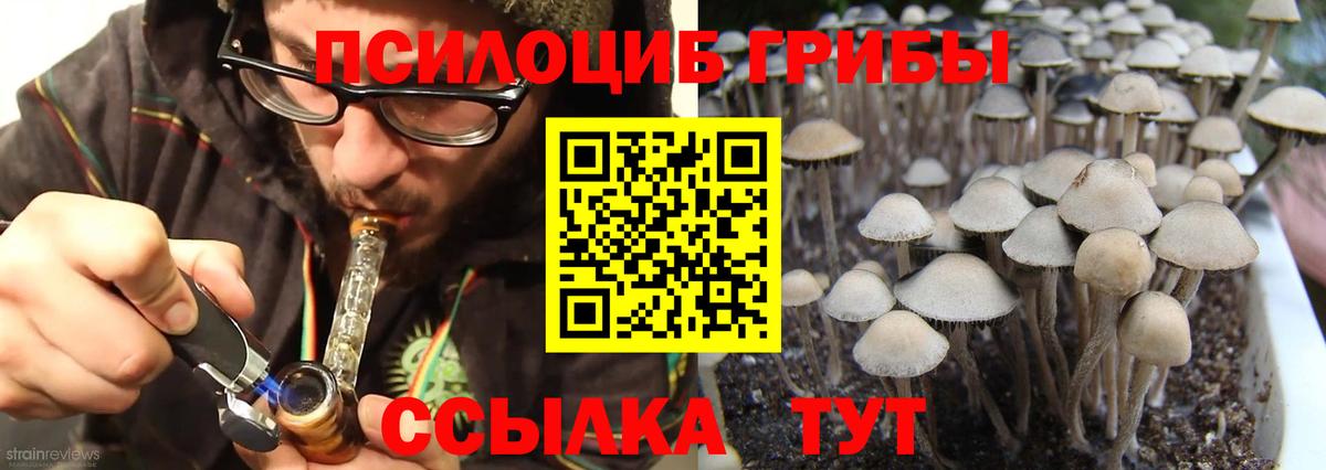 Ставрополь  Псилоцибиновые грибы Cubensis  Псилоцибиновые грибы мухоморы  Вход с VPN 